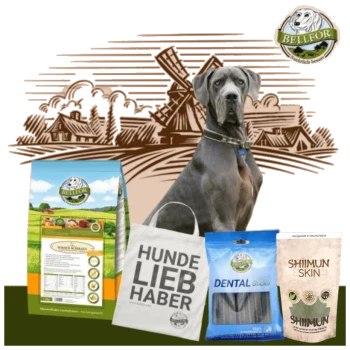 Ein grauer Hund sitzt neben BELLEFOR Tierprodukten: blaues Hundefutter, eine weiße Tragetasche, Zahnsticks und Hautergänzungen, mit einer ländlichen Kulisse.