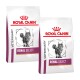 Zwei Beutel Royal Canin Veterinary Renal Select Katzenfutter, mit einem Katzenbild auf jedem Beutel und dem Markenzeichen oben.