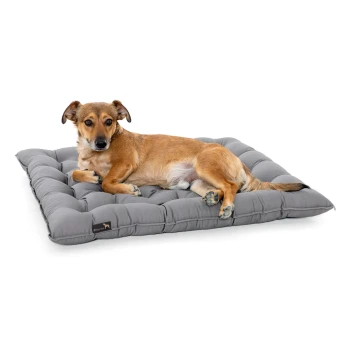 Ein brauner Hund liegt bequem auf einem grauen, plüschigen Hundebett mit einem gepolsterten Design, vor einem weißen Hintergrund.