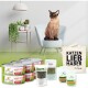 Sparset für Burma-Katze