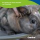 Nahaufnahme eines braun-grauen Kaninchens, das gestreichelt wird; Bannertext „So schützt ihr euer Haustier vor Parasiten“ und Canina-Logo.