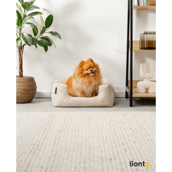 Ein flauschiger orangefarbener Pomeranian-Hund sitzt bequem in einem beigen Haustierbett, umgeben von Zimmerpflanzen und modernem Dekor in einem gemütlichen Raum.