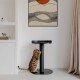 Eine gefleckte Bengal-Katze steht auf ihren Hinterbeinen und greift nach einem schwarzen runden Tisch in einem modernen Raum mit minimalistischer Gestaltung.
