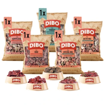 Bild von DIBO-Hundefutterbeuteln mit den Aufschriften Rindfleisch, Kopffleisch, Pansen, Spezial und V-Mix, mit vier Schalen Fleisch davor.