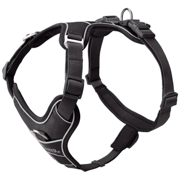 Schwarzes Hundegeschirr mit verstellbaren Riemen und einem gepolsterten Brustbereich, mit einem Metall-D-Ring zur Leinenbefestigung.