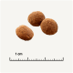 Drei braune Haustierfutter-Kibble-Stücke auf einem hellen Hintergrund, mit einem Lineal, das 1 cm zur Größenreferenz angibt.