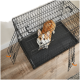 Ein Corgi liegt in einer schwarzen Draht-Hundekiste mit einem orangefarbenen Griff, die auf einem Holzboden steht.