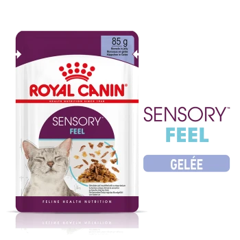 Pochette de nourriture pour chat Royal Canin Sensory Feel, 85g, présentant un chat gris aux yeux fermés et des morceaux de nourriture en gelée.