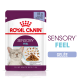 Pochette de nourriture pour chat Royal Canin Sensory Feel, 85g, présentant un chat gris aux yeux fermés et des morceaux de nourriture en gelée.