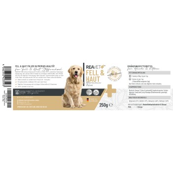 Ein verspielter schwarz-weißer Hund läuft durch einen Weg, der von lila Blumen und Grün umgeben ist, mit einem weichgezeichneten Hintergrund.