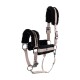 Schwarzes und beiges Haustiergeschirr mit weicher Polsterung, mit verstellbaren Riemen und Metallclips für eine sichere Befestigung.