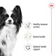 A fluffy black and white Papillon dog with icons for "Healthy immune system," "Dental health," and "Optimal health support."