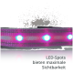LED-Hundehalsband mit pinken und weißen LED-Punkten, mit dem Text 'LED-Spots bieten maximale Sichtbarkeit' für verbesserte Sichtbarkeit.