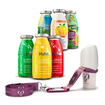 Bunte "SmoothieDog" Snackflaschen in verschiedenen Geschmacksrichtungen, eine lila Hundeleine und ein kleiner Behälter.