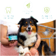 Ein lächelnder Hund auf dem Schoß einer Frau hält "Denta Vital Sticks" und fördert Vorteile: "Löst Zahnstein", "bekämpft Mundgeruch", "Hilft bei Entzündungen."