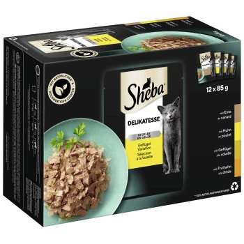 Sheba Delikatesse Katzenfutterpackung mit 12 x 85g Portionen in Gelee, mit einem Bild einer grauen Katze und einer Schüssel mit zerrissenem Fleisch.