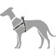 Illustration eines grauen Hundes, der ein schwarz-graues Geschirr trägt, das das Design und die Passform des Geschirrs zeigt.
