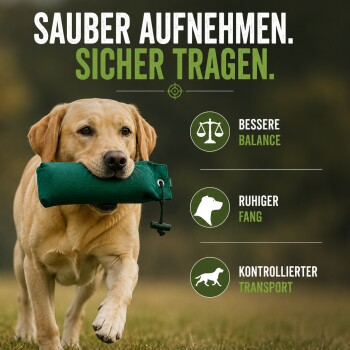 Golden Retriever liegt auf Gras neben einem grünen Stoff-Leckerlibeutel mit Kordelverschluss im Freien.