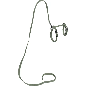 cat harness with lead green A green pet harness with an attached leash, featuring adjustable straps and a metal clip for secure fastening.