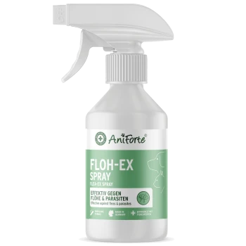 AniForte Floh-Ex Sprayflasche mit einem grünen Etikett, das "FLOH-EX SPRAY" und "Effektiv gegen Flöhe & Parasiten" angibt.