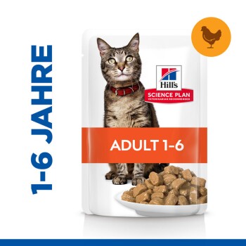 Hill's Science Plan Katzenfutterverpackung mit einer getigerten Katze, beschriftet mit "ADULT 1-6 Jahre," mit einer Schüssel Futter.