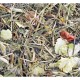 Grainless Herbs Zwergkaninchen 5 kg