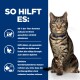 Getigerte Katze mit blauem Halsband rechts; linkes blaues Feld zeigt 'SO HILFT ES:' mit deutschem Text zur Gewichtsabnahme und Symbolen.