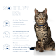 Getigerte Katze mit blauem Halsband rechts; linkes blaues Feld zeigt 'SO HILFT ES:' mit deutschem Text zur Gewichtsabnahme und Symbolen.