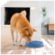 Ein Shiba Inu Hund schnüffelt an einer blauen langsamen Futter-Schüssel auf einem Holzboden in einem hellen Raum mit einem weißen Ziegelkamin im Hintergrund.