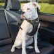 Harnais Impact Seatbelt S