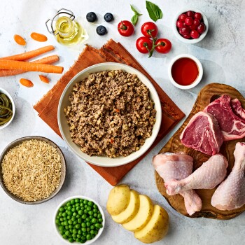 Bowl of ground meat pet food surrounded by raw beef, chicken drumsticks, potatoes, peas, rice, carrots, tomatoes, blueberries, cranberries, and oil.