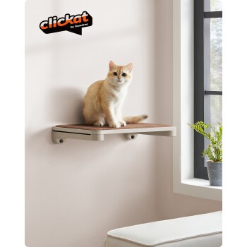 Eine flauschige cremefarbene Katze sitzt auf einem Holzregal neben einem Fenster mit einer Topfpflanze, mit dem Logo "clickat by feandrea" in der Ecke.