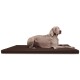 CARLOS Ortho-Medic - Orthopädische Hundematte braun 1 m, 6 cm, 80 cm