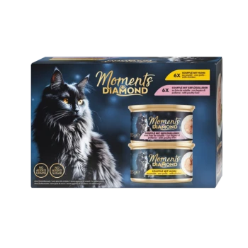 Eine schlanke schwarze Katze mit orangefarbenen Augen schaut den Betrachter an, neben einer "Moments Diamond" Katzenfutterbox mit Hähnchen- und Geflügelleberdosen.