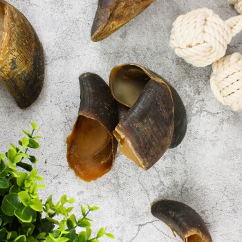 Eine Sammlung von natürlichen Hundekauartikeln aus Kuhhufen, angeordnet auf einer strukturierten grauen Oberfläche, mit einer kleinen grünen Pflanze und einem Seilspielzeug in der Nähe.