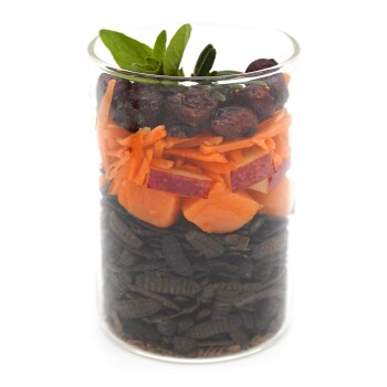 Ein klarer Glasbehälter, geschichtet mit dunklem Futter, Karottenstreifen, Süßkartoffel, Apfelstücken, Cranberries und garniert mit grünen Blättern.