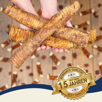 Hände, die drei große, knusprige Hundekauartikel halten, mit einem Hintergrund aus kleineren Leckerlis, mit einem Abzeichen, das "15 Jahre - Beste Qualität" besagt.