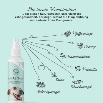 Zahnspray für Haustiere, das die tägliche Mundhygiene fördert; der Text lautet: "Unterstützt die tägliche Mundhygiene. Einfache Anwendung für Zähne und Zahnfleisch."