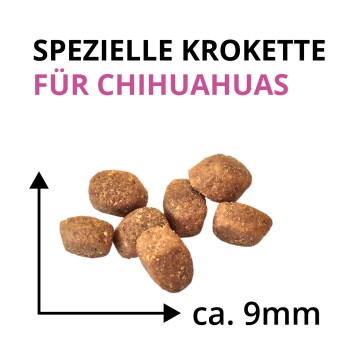 Braune Hundefutterkroketten mit Pfeilen, die Größe ca. 9 mm anzeigen, und Überschrift „SPEZIELLE KROKETTE FÜR CHIHUAHUAS“