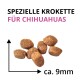 Braune Hundefutterkroketten mit Pfeilen, die Größe ca. 9 mm anzeigen, und Überschrift „SPEZIELLE KROKETTE FÜR CHIHUAHUAS“