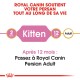 Emballage de nourriture pour chats persans Royal Canin, mettant en avant "Chaton" pour 2 mois et "Adulte" pour 12 mois, avec une recommandation de transition.