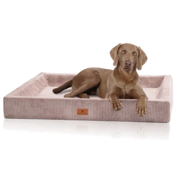 Brauner Hund mit unscharfem Gesicht liegt in einer rosa, kordähnlichen rechteckigen Haustierliege; Lederetikett 'KNUFFELWUFF'.