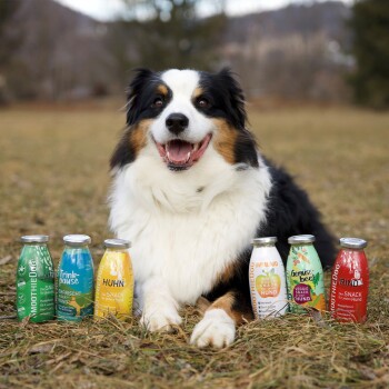 Fröhlicher dreifarbiger Hund liegt auf Gras vor einer Reihe bunter Flaschen mit Hundesnacks, beschriftet 'Trinkpause', 'HUHN', 'RIND', 'Gemüse'.