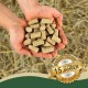 Hände halten gepresste Tierpellets über Heu, goldenes Siegel mit der Aufschrift 'Bewährte Qualität Seit über 15 Jahren Best Quality'.