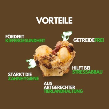 Bild eines Hundekauspielzeugs mit Vorteilen: fördert die Kiefergesundheit, getreidefrei, stärkt die Zahnhygiene, reduziert Stress, aus ethischer Beschaffung.