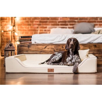 Ein brauner und weißer Hund, der auf einem cremefarbenen Hundebett in einem gemütlichen Raum mit Ziegelwand, Büchern und sanfter Beleuchtung liegt.