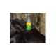 Eine Flasche Effol Insect-Attack + Citrus Spray liegt auf dem Rücken eines schwarzen Pferdes, mit einem verschwommenen Hintergrund von Bäumen.
