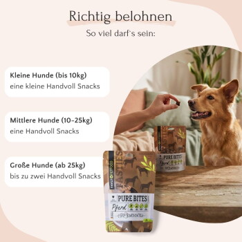 Drei Pakete "Pure Bites Pferd" Haustierleckerlis, mit einem braunen Design mit Pferdesilhouetten und grünen Blättern, beschriftet mit Nährstoffsymbolen.