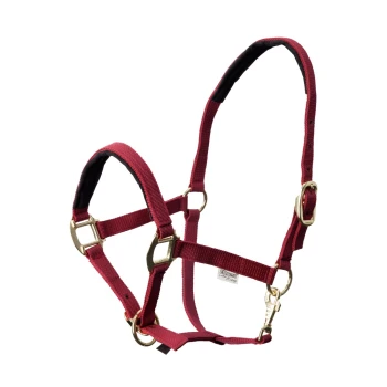Halfter Dual Plus bordeaux WB (Warmblut) Ein kastanienbraunes Haustiergeschirr mit schwarzer Polsterung, ausgestattet mit goldenen Metallschnallen und Ringen für eine sichere Befestigung.