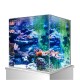 Ein lebendiges Aquarium, gefüllt mit buntem Korallen und Wasserpflanzen, das eine Vielzahl von Texturen und Farbtönen in einem klaren Glastank zeigt.